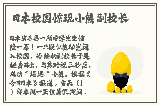 午夜dj影院视频在线观看完整版